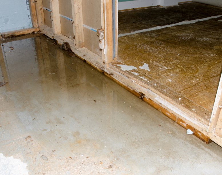 From Water Damage to Mold: A Homeowner’s Guide to Early Detection and Prevention