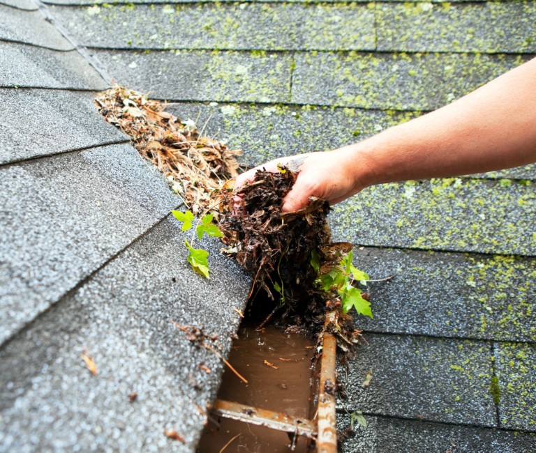 Preventative Measures Outside the Home