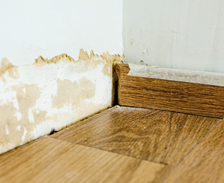 Signs of Water Damage in Your Home