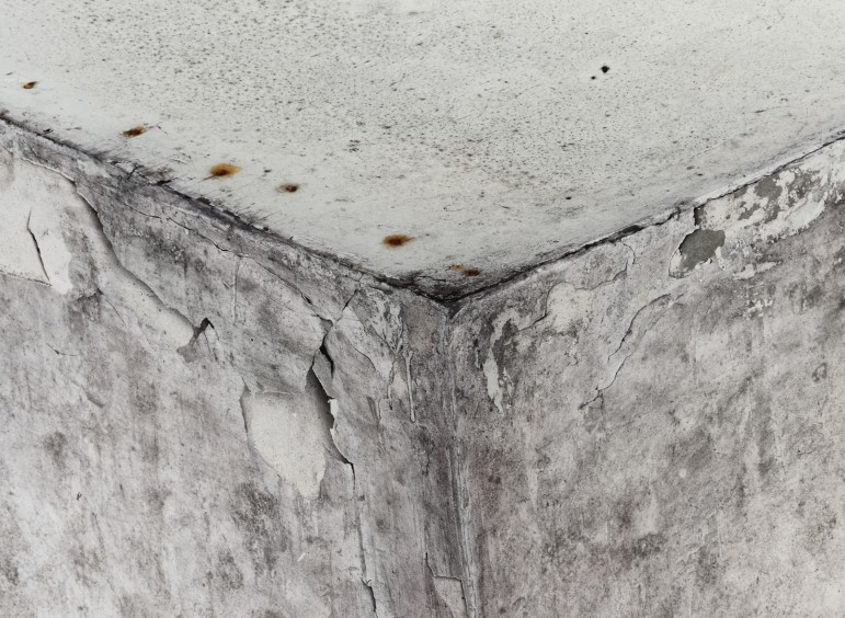 The Essential Guide to Preventing Mold Growth in Your Home