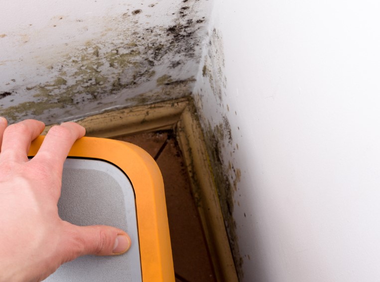 Preventing Future Mold Growth