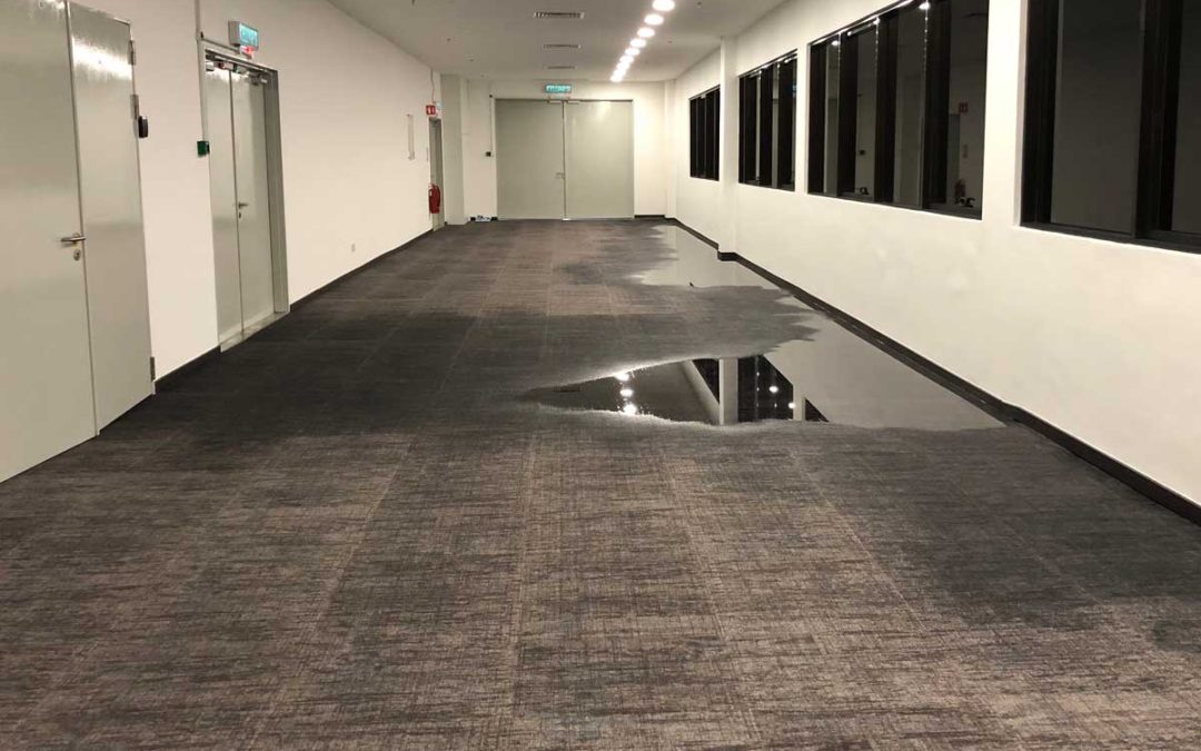 After the Storm: Effective Flood Damage Restoration in Tallahassee, FL