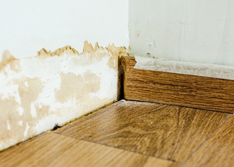 How Much Does Water Damage Devalue a House in Tallahassee?