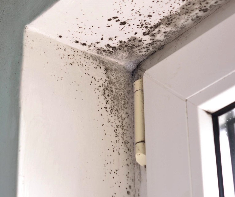 How Long Did the Job Take and What Did It Cost