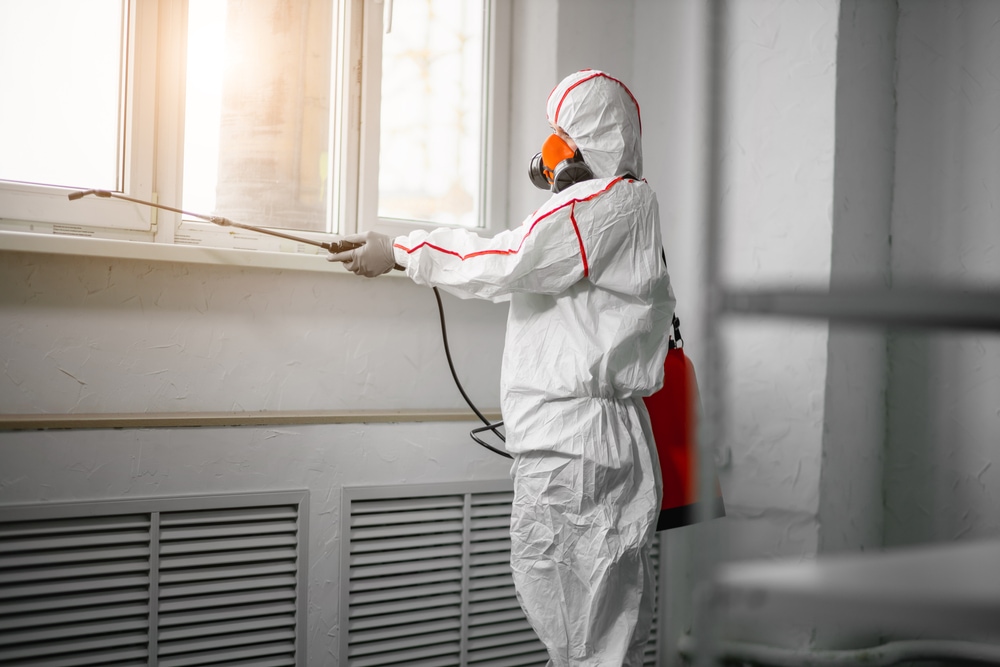 The Healthy Environments Approach to Safe and Effective Mold Restoration in Tallahassee, FL