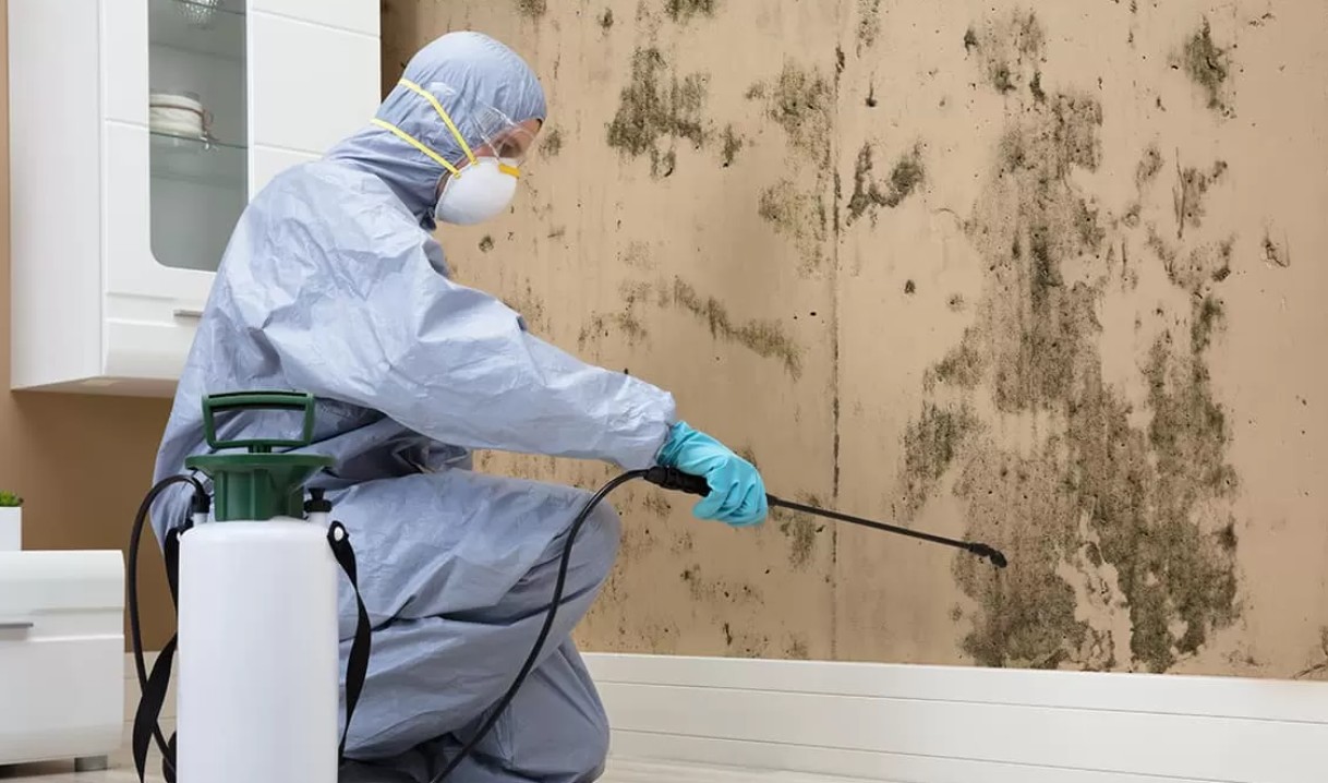 Mold Mitigation Services