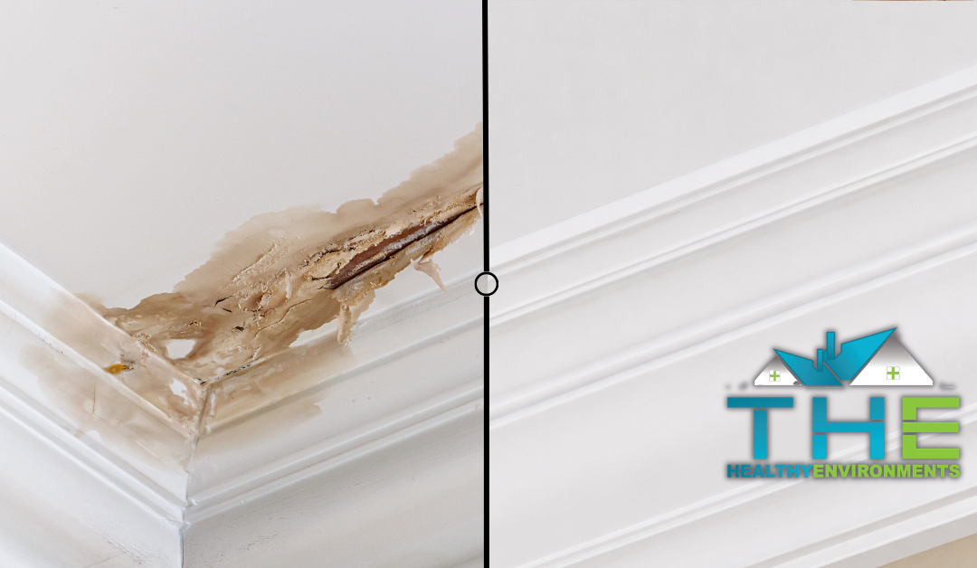 The Healthy Environments helps with water damage Tallahassee and water damage restoration
