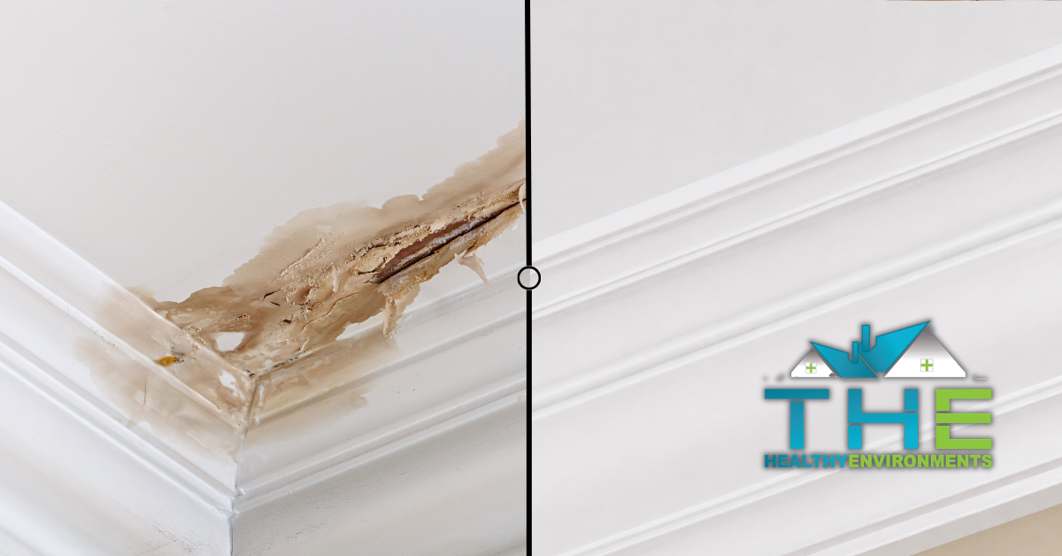 The Healthy Environments helps with water damage Tallahassee and water damage restoration